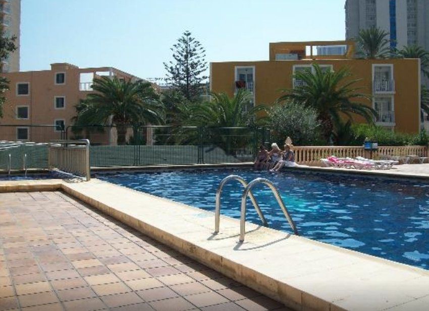 Apartamentos Palm Court 베니돔 외부 사진