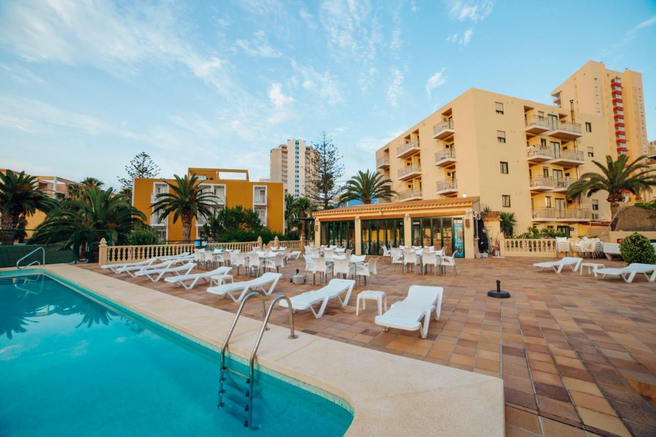Apartamentos Palm Court 베니돔 외부 사진